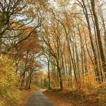 Jemimas Bassenthwaite
