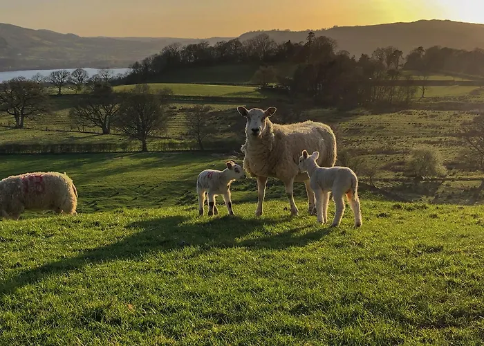 Casa de Férias Jemima's