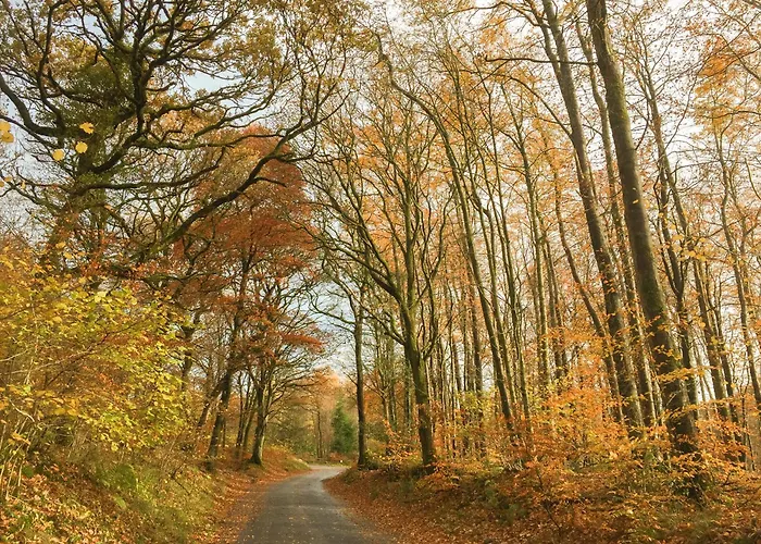 Jemima's Bassenthwaite