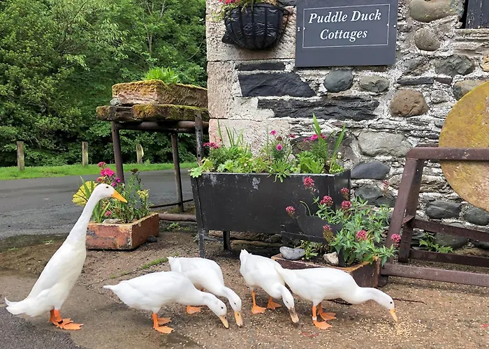 Jemima's Holiday home